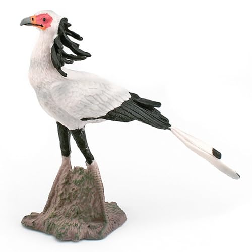 Vogelstatue, realistische Sekretär Vogel Figuren Wohnkultur mit Basissimulation PVC -Statue für Garten, Garten, Balkon, Heimdekoration Vogelstatue, realistische Sekretär Vogel Figuren Wohnkultur mit Basissimulation PVC -Statue für Garten, Garten, Balkon, Heimdekoration von Generisch