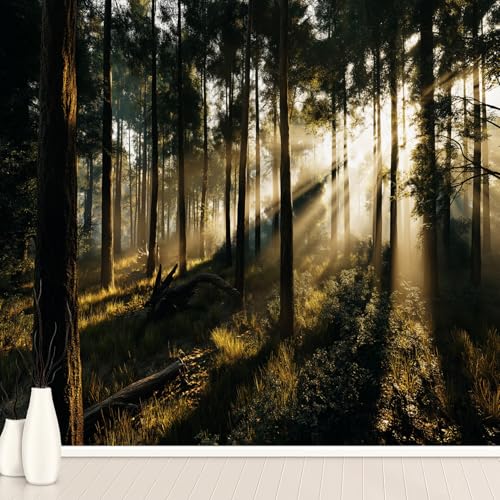 Wald Bäume Natur Tapete Selbstklebende Fototapete Sonne Bäume Laub Tapeten Landschaft Wandtapete Vinyl Wasserdicht Wandaufkleber für Wohnzimmer Schlafzimmer Küchen 300x210 cm Wald Bäume Natur Tapete Selbstklebende Fototapete Sonne Bäume Laub Tapeten Landschaft Wandtapete Vinyl Wasserdicht Wandaufkleber für Wohnzimmer Schlafzimmer Küchen 300x210 cm von Generisch