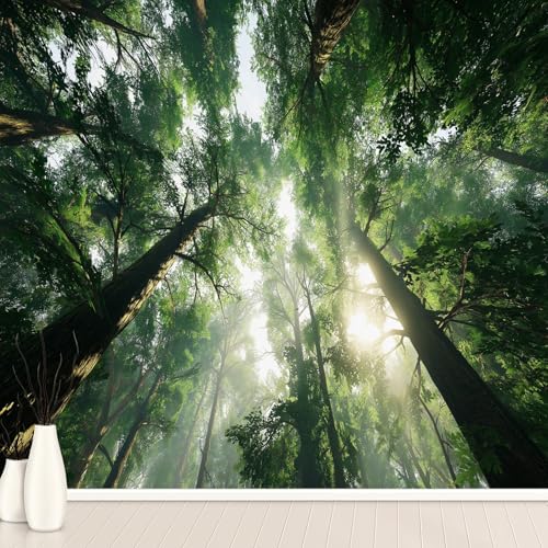 Wald Sonne Natur Tapete Selbstklebende Fototapete Bäume Pflanze Landschaft Tapeten Dschungel Wandtapete Vinyl Wasserdicht Wandaufkleber für Wohnzimmer Schlafzimmer Küchen 350x260 cm Wald Sonne Natur Tapete Selbstklebende Fototapete Bäume Pflanze Landschaft Tapeten Dschungel Wandtapete Vinyl Wasserdicht Wandaufkleber für Wohnzimmer Schlafzimmer Küchen 350x260 cm von Generisch