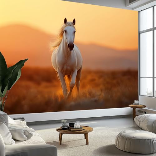 Wandtapete Tier Sonnenuntergang Weißes Pferd Fototapete Gelb Vliestapete Bild Dekoration Wand-Dekor, 300 x 210 cm 3D Effekt Tapete Panorama Poster Für Schlafzimmer Wohnzimmer Kinderzimmer Wandtapete Tier Sonnenuntergang Weißes Pferd Fototapete Gelb Vliestapete Bild Dekoration Wand-Dekor, 300 x 210 cm 3D Effekt Tapete Panorama Poster Für Schlafzimmer Wohnzimmer Kinderzimmer von Generisch
