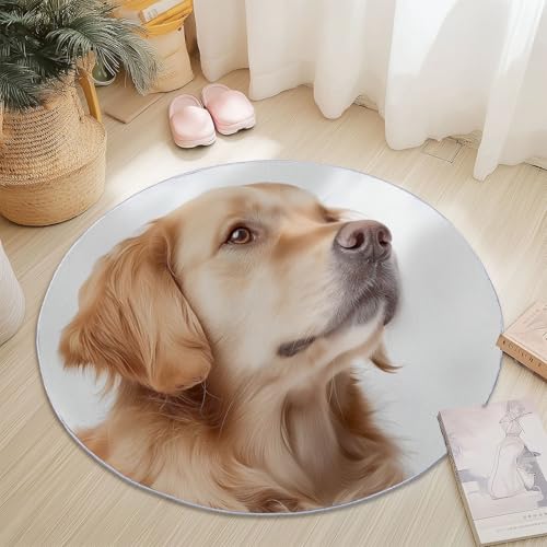 Waschbare Runde Teppiche 100 cm, Tier Golden Retriever Portrait Muster Rutschfester Runder Läufer für das Wohnzimmer, Weiß Weicher Niedrigfloriger Teppich für unter den Esstisch Waschbare Runde Teppiche 100 cm, Tier Golden Retriever Portrait Muster Rutschfester Runder Läufer für das Wohnzimmer, Weiß Weicher Niedrigfloriger Teppich für unter den Esstisch von Generisch