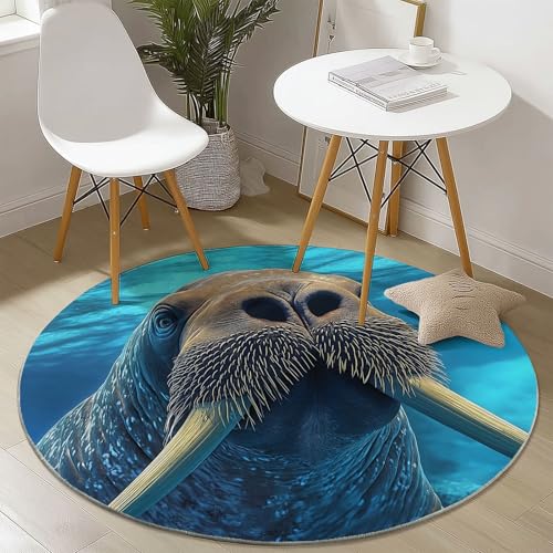 Waschbare Runde Teppiche 120 cm, Meerblick Walross Muster Rutschfester Runder Rugs für das Wohnzimmer, Blau Weicher Niedrigfloriger Teppich für unter den Esstisch Waschbare Runde Teppiche 120 cm, Meerblick Walross Muster Rutschfester Runder Rugs für das Wohnzimmer, Blau Weicher Niedrigfloriger Teppich für unter den Esstisch von Generisch