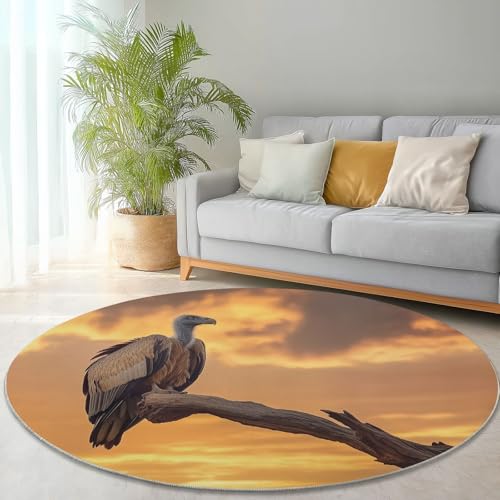 Waschbare Runde Teppiche 150 cm, Vögel Geier Sonnenuntergang Muster Rutschfester Runder Rugs für das Wohnzimmer, Orange Farbe Weicher Niedrigfloriger Teppich für unter den Esstisch von Generisch