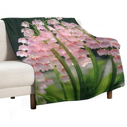 Weiche Decke aus Polyester, 100 x 130 cm, einlagig, grau, maschinenwaschbar von Generisch