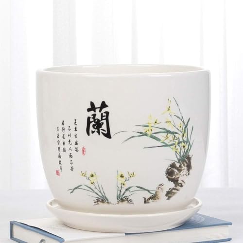 Weißer Keramik-Blumentopf – Klassischer chinesischer Porzellan-Kaktus- und Sukkulenten-Übertopf mit Ablaufloch – dekorative Vase für Fleischpflanzen für den Innenbereich, 18 cm x 22 cm von Generisch