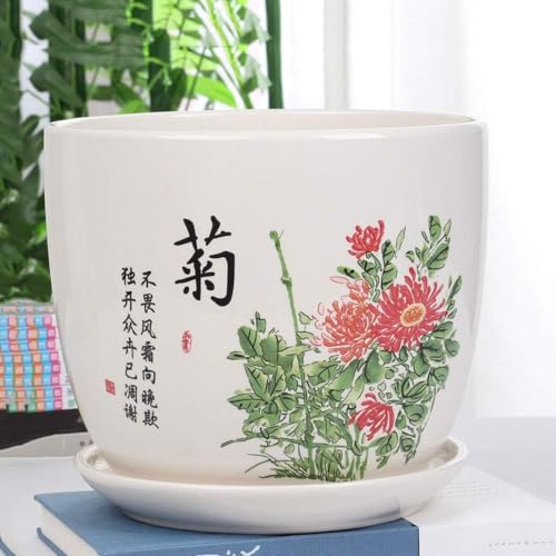 Weißer Keramik-Übertopf – klassisches Kunst-Design 22 cm x 18 cm – perfekt für Kakteen, Sukkulenten und Zimmerpflanzen – dekorativer Blumentopf mit Ablaufloch von Generisch