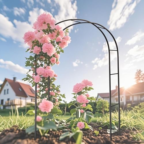 Wetterbeständiger Rosenbogen aus pulverbeschichtetem Metall, robuste Gartenlaube aus pulverbeschichtetem Metall, stabile Unterstützung für Kletterpflanzen, Hochzeitspergola, (B x H 240 x 220 cm) von Generisch