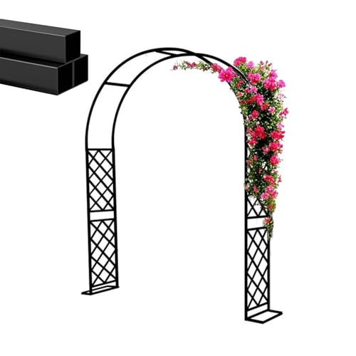 Wetterfeste Metall Pergola Laube Gartenbogen 240 180 200 330 350 140 Stabile Outdoor Laube für Kletterreben, Rosen, Efeu, einfache Montage Bögen Torbogen mit verstärktem Boden Wetterfeste Metall Pergola Laube Gartenbogen 240 180 200 330 350 140 Stabile Outdoor Laube für Kletterreben, Rosen, Efeu, einfache Montage Bögen Torbogen mit verstärktem Boden von Generisch