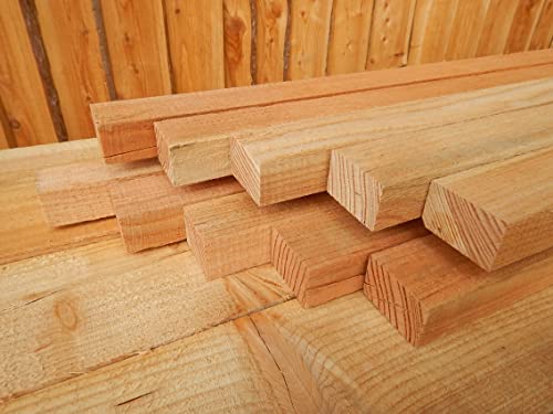 ZAUNLATTE LÄRCHE HOLZ LATTEN LATTENZAUN HOLZZAUN 25x50 mm 2,5x5 120cm (10) von Generisch