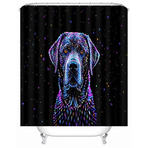 duschvorhang mit Gewicht 180 x 180 cm Farbiger Hund Auf Schwarzem Hintergrund duschvorhang mit Haken Dekorativer wasserabweisender Sichtschutz für WG-Bad oder Gästezimmer MY802 duschvorhang mit Gewicht 180 x 180 cm Farbiger Hund Auf Schwarzem Hintergrund duschvorhang mit Haken Dekorativer wasserabweisender Sichtschutz für WG-Bad oder Gästezimmer MY802 von Generisch