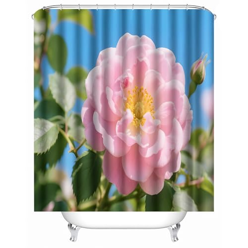 duschvorhang waschbar 180 x 200 cm Rosa Blüten duschvorhang bunt Hygienischer wasserfester Bad Raumteiler für Campingplatz oder Gästebereich MY690 duschvorhang waschbar 180 x 200 cm Rosa Blüten duschvorhang bunt Hygienischer wasserfester Bad Raumteiler für Campingplatz oder Gästebereich MY690 von Generisch