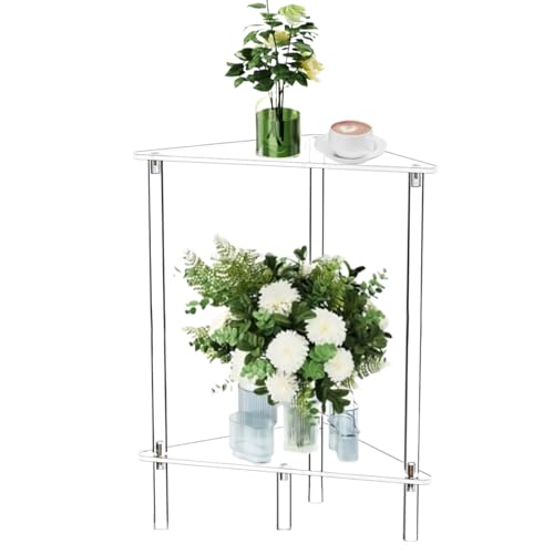 Genikeer Acryl Beistelltisch | Wohnzimmer Klarer Beistelltisch | Acryl Dekorativ Modern 2-Stufig Schreibtisch Stauraum Nachttisch | Für Kleine Räume Diele Schlafzimmer Zuhause Küche Wohnzimmer von Genikeer