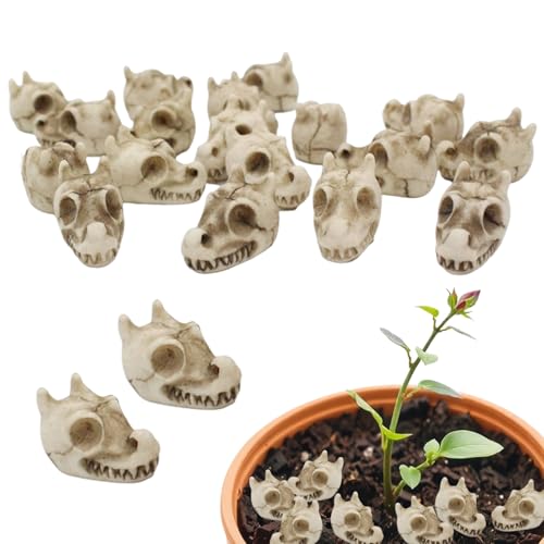 Genikeer Ative Steine | Schädel Design Vase Steine - Ästhetisches Set Für Drinnen Draußen Gartengestaltung von Genikeer
