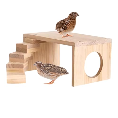 Hamster Spielplatz | Kleintier Aktivitätsset mit Leiter,Mehrstöckiges Nagefreundliches Kletter- und Bewegungsspielzeug Für Kleintiere Wie Hamster, Mäuse, Gerbil, Chinchilla & Meerschweinchen Hamster Spielplatz | Kleintier Aktivitätsset mit Leiter,Mehrstöckiges Nagefreundliches Kletter- und Bewegungsspielzeug Für Kleintiere Wie Hamster, Mäuse, Gerbil, Chinchilla & Meerschweinchen von Genikeer