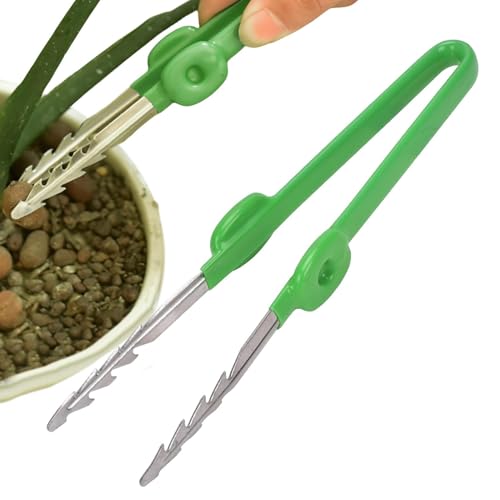 Sukkulenten Pinzette Werkzeuge | Gerade Mehrzweckpinzette mit gezahnter Spitze,Gartenpinzette Saatpinzette Große lange Pinzette Pflanzenpinzette für Pflanzen, Gartenarbeit, Sukkulenten von Genikeer
