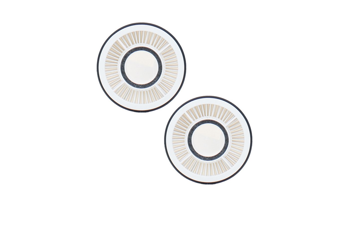 Genius Saugfilter INVICTUS X4 PRO Filter Set 2-tlg. (2er Set, Zubehör), beste Reinigungsergebnisse, einfache Reinigung-durch ausklopfen von Genius
