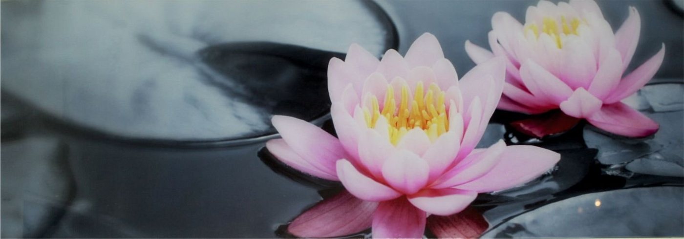 Genius Glasbild Glasbild 95x33cm Wandbild Bild Wasserrose 11219 Genius Glasbild Glasbild 95x33cm Wandbild Bild Wasserrose 11219 von Genius