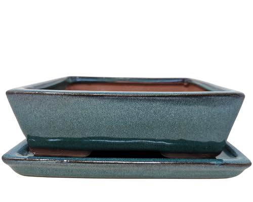 Genki-Bonsai Keramik Bonsai Pflanzschale 19x14x6 cm mit Untersetzer – rechteckig, grün glasiert – aus dem Bonsai-Fachgeschäft – auch für Zimmerpflanzen, Sukkulenten, Kakteen Genki-Bonsai Keramik Bonsai Pflanzschale 19x14x6 cm mit Untersetzer – rechteckig, grün glasiert – aus dem Bonsai-Fachgeschäft – auch für Zimmerpflanzen, Sukkulenten, Kakteen von Genki-Bonsai