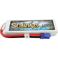 Gens ace Modellbau-Akkupack (LiPo) 14.8V 4000 mAh Zellen-Zahl: 4 30 C Softcase EC5 von Gens ace