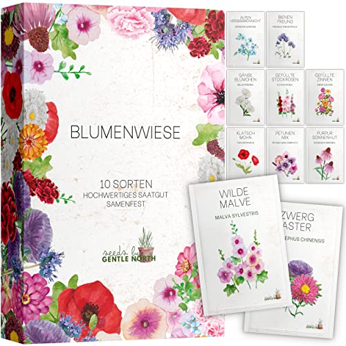 Blumen Samen Set - 10 bunte Blumensamen Sorten für den Garten oder Balkon, die Bienenweide und Wildblumenwiese - Blumenwiese Samen - bunte Wildblumensamen Mischung von Gentle North