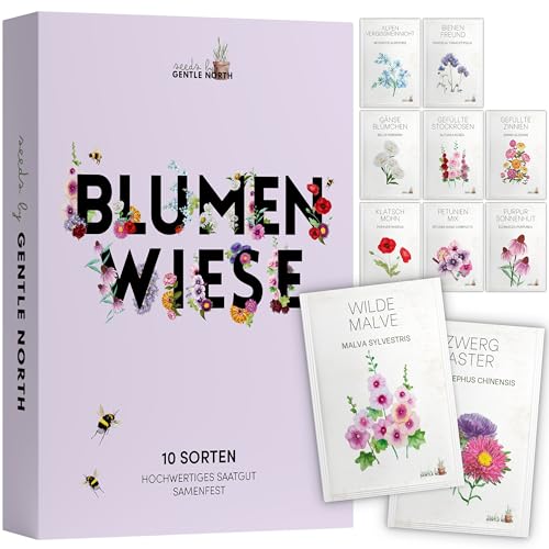 Blumen Samen Set - 10 bunte Blumensamen Sorten für den Garten oder Balkon, die Bienenweide und Wildblumenwiese - Blumenwiese Samen - bunte Wildblumensamen Mischung Blumen Samen Set - 10 bunte Blumensamen Sorten für den Garten oder Balkon, die Bienenweide und Wildblumenwiese - Blumenwiese Samen - bunte Wildblumensamen Mischung von Gentle North