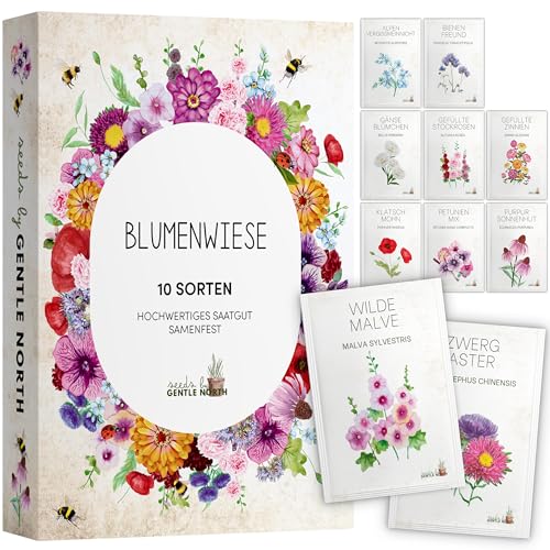 Blumen Samen Set - 10 bunte Blumensamen Sorten für den Garten oder Balkon, die Bienenweide und Wildblumenwiese - Blumenwiese Samen - bunte Wildblumensamen Mischung von Gentle North