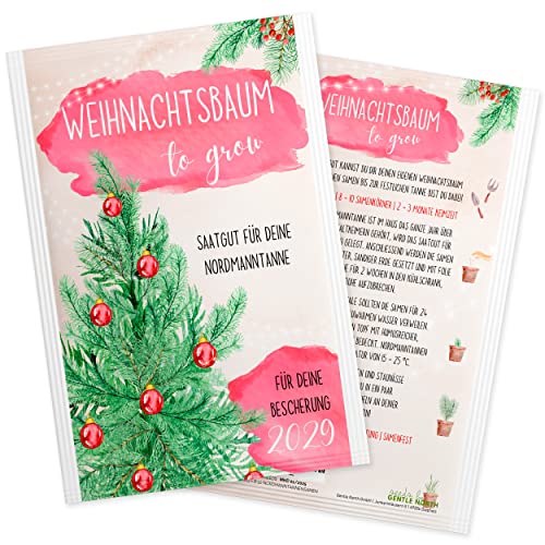 Nordmanntanne zum Pflanzen - Weihnachtsbaum Samen für dein Christbaum 2029 - Tannensamen als Adventskalender Füllung, Kleinigkeit zu Weihnachten oder Wichtelgeschenk für Frauen und Männer von Gentle North