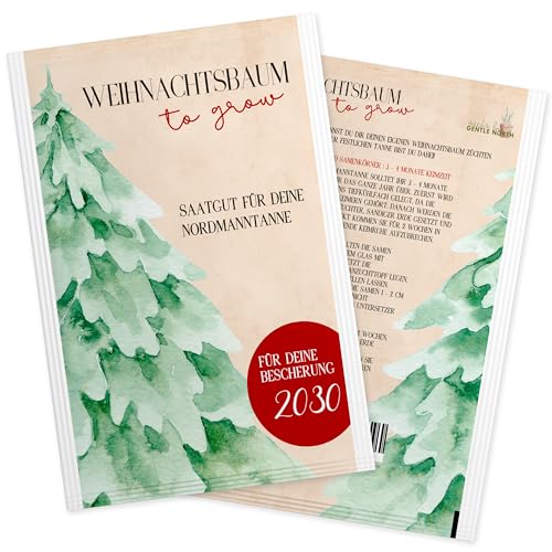 Nordmanntanne zum Pflanzen - Weihnachtsbaum Samen für dein Christbaum 2029 - Tannensamen als Adventskalender Füllung, Kleinigkeit zu Weihnachten oder Wichtelgeschenk für Frauen und Männer von Gentle North