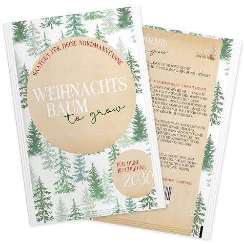 Nordmanntanne zum Pflanzen - Weihnachtsbaum Samen für dein Christbaum 2029 - Tannensamen als Adventskalender Füllung, Kleinigkeit zu Weihnachten oder Wichtelgeschenk für Frauen und Männer von Gentle North