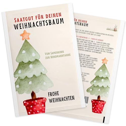 Nordmanntanne zum Pflanzen - Weihnachtsbaum Samen für dein Christbaum 2029 - Tannensamen als Adventskalender Füllung, Kleinigkeit zu Weihnachten oder Wichtelgeschenk für Frauen und Männer von Gentle North