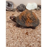 Jahrgang 1971 Candlemakers Inc Wunderliche Googly Eyed Wax Turtle Candle Figur, Wachs Tier Geformt Kerzen Cottagecore Countrycore Dekor von GentleMenShop