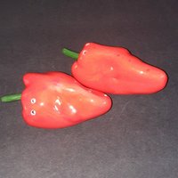 Vintage Rote Paprika Salz - Und Pfefferstreuer, Paprikastreuer, Streuer, Niedliche Paprikastreuer von GentlyLovedCA