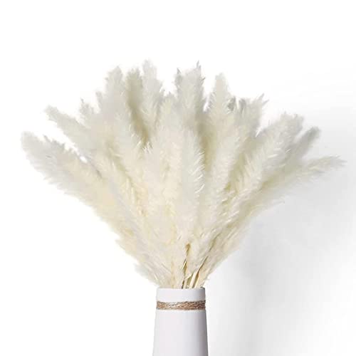 Geofray 40 StüCke NatüRliches Getrocknetes WeißEs Pampasgras 45 cm Flauschige und Schwingende DIY Boho Pflanze für Hochzeitsblumenarrangements von Geofray