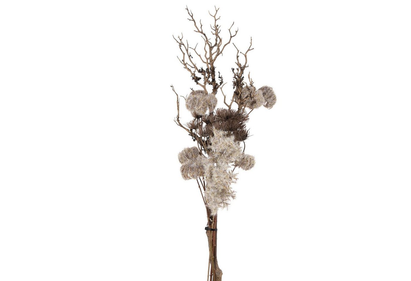 Kunstpflanze aus Kunststoff, Georg Stiels, 5 Deko-Zweige mit Kunst-Schnee bestäubt von Georg Stiels