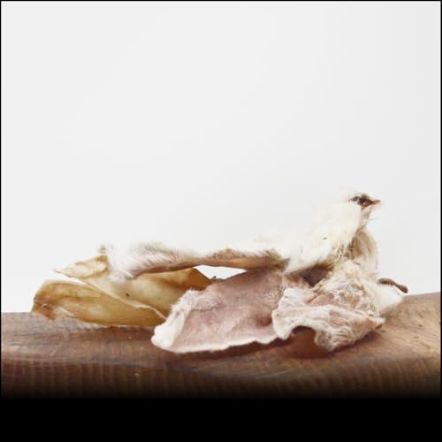 Kaninchenohren - 1000g - von George and Bobs von George and Bobs