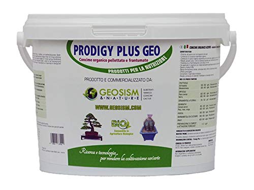 Prodigy Plus 1/3 mm (1 kg), körniger Dünger für Bonsai, Pflanzen und Blumen von Geosism & Nature