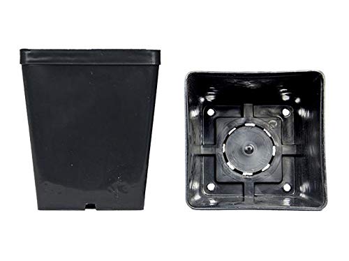 Vierkante vazen 14x14x16 cm (10 stuks), Arca company von Geosism & Nature