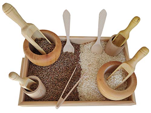 GERILEO Küchenzubehör-Set aus Holz -Transfers- Heuristisches Spiel - Tablett mit Pinzette, Löffel, Becher, Mörser, Schaufeln (12 stück (Holz)) von GERILEO