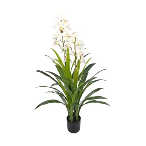 Gerimport Cymbidium-Pflanze satiniert, 130 cm Gerimport Cymbidium-Pflanze satiniert, 130 cm von Gerimport