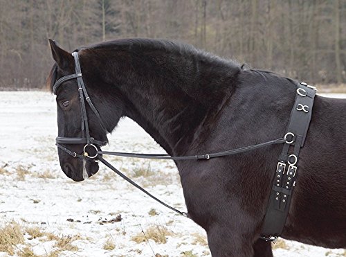Dreieckszügel Wienerzügel nach §70 LPO auf Turnieren zugelassen Leder schwarz Pony von German Riding