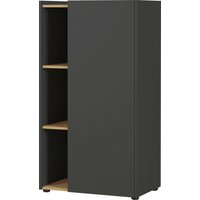 GERMANIA Aktenschrank "GW-AUSTIN, Mehrzweckschrank,", moderne Kommode, Maße 62x42x115 cm, Made in Germany von Germania