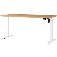 GERMANIA Profi 3.0 höhenverstellbarer Schreibtisch grandson-eiche rechteckig, T-Fuß-Gestell weiß 160,0 x 80,0 cm GERMANIA Profi 3.0 höhenverstellbarer Schreibtisch grandson-eiche rechteckig, T-Fuß-Gestell weiß 160,0 x 80,0 cm von Germania