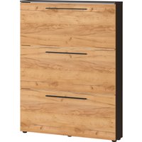 GERMANIA Schuhschrank "GW-Utah Schuhschrank in 2 Breiten, mit 2 oder 3 Klappen," stehend und hängend montierbar GERMANIA Schuhschrank "GW-Utah Schuhschrank in 2 Breiten, mit 2 oder 3 Klappen," stehend und hängend montierbar von Germania