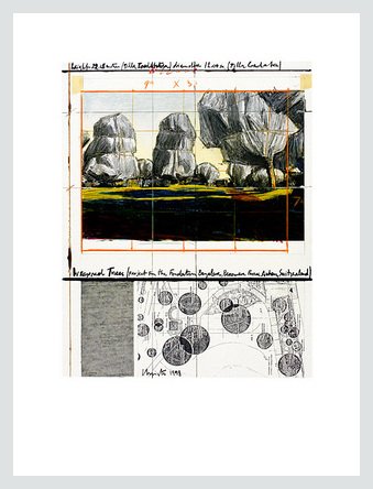 Christo Wrapped Trees Nr. IV (Riehen) Poster Bild Kunstdruck im Alu Rahmen in Silber matt 40x30cm von Germanposters