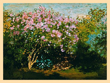 Claude Monet Blühender Flieder in der Sonne Poster Kunstdruck Bild mit Holz Rahmen in Natur von Germanposters
