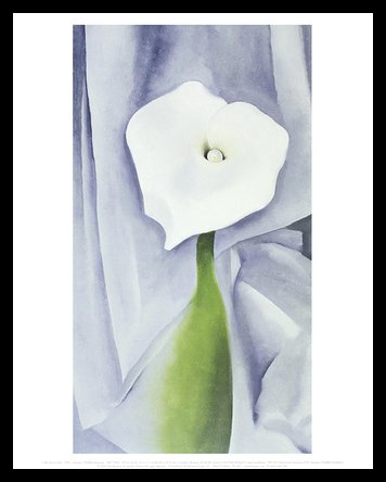 Georgia O Keeffe Calla Lily on Grey, 1928 Poster Bild Kunstdruck im Alu Rahmen in schwarz 36x28cm von Germanposters