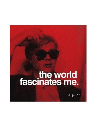 Germanposters Andy Warhol The World fascinates me Poster Kunstdruck Bild 36x28cm von Germanposters