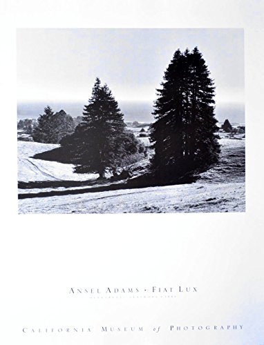 Germanposters Ansel Adams Pinetrees Poster Kunstdruck Bild 80x60cm von Germanposters