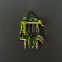 Vermehrungsstation von GermansWork