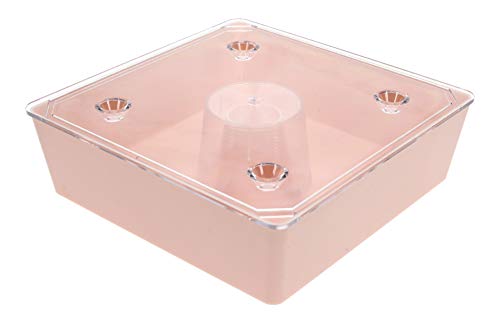 3 x Kunststoff Futtertrog, Bienen Fütterer 1l quadratisch zum schnellen und einfachen Füttern der Bienen - Preis pro Stück 7,17 Euro 3 x Kunststoff Futtertrog, Bienen Fütterer 1l quadratisch zum schnellen und einfachen Füttern der Bienen - Preis pro Stück 7,17 Euro von Germerott Bienentechnik